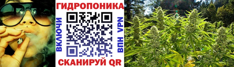 Канабис Amnesia  что такое наркотик  Липки 